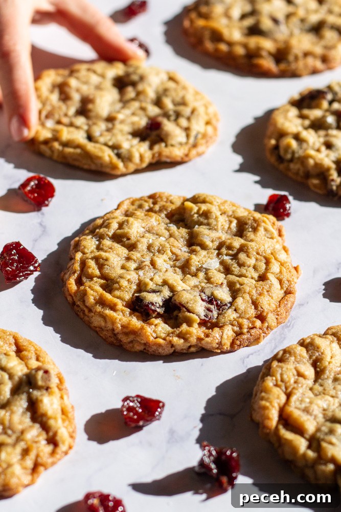 Cherry Toffee Oatmeal Cookies Recipe — Chewy Cherry & Toffee Bites 5 cherry toffee oatmeal cookies