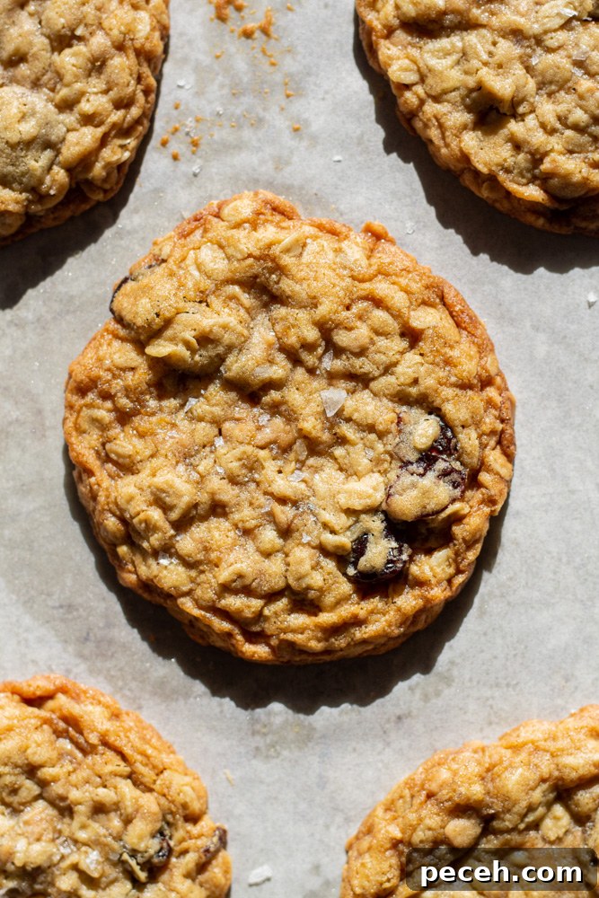 Cherry Toffee Oatmeal Cookies Recipe — Chewy Cherry & Toffee Bites 6 cherry toffee oatmeal cookies