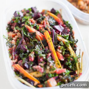 Vegan Meal Plan for $30 a Week: Budgeting Tips and Recipes 10 Roast Beet & Carrot Salad