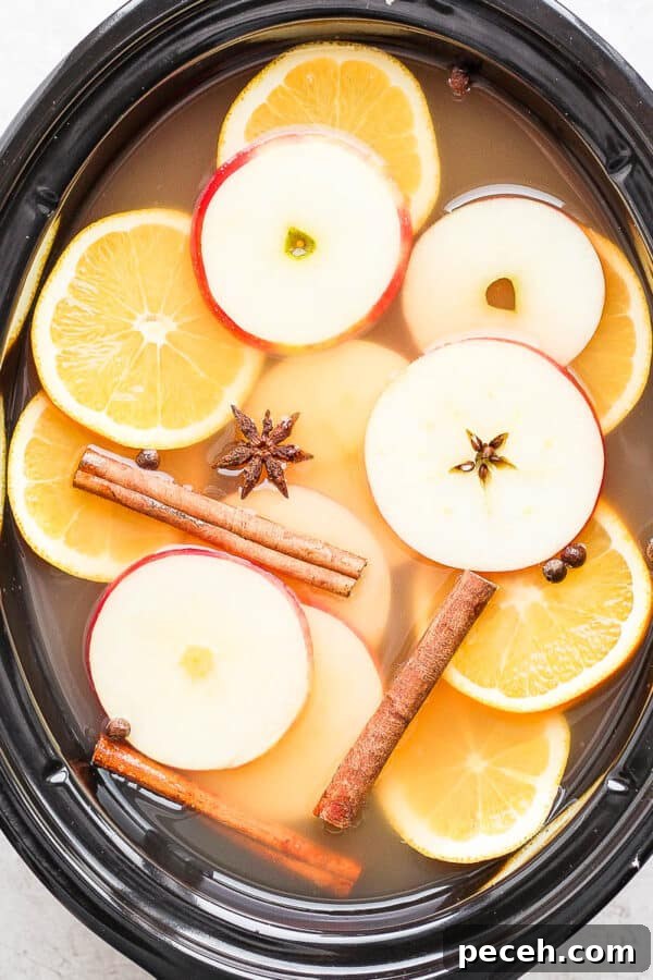 A slow cooker full of spiked apple cider.
