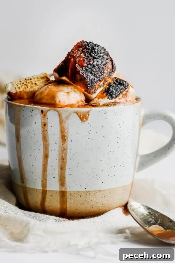 Mug of dairy free hot chocolate.