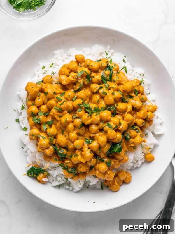 A white plate filled with a hearty serving of chickpea curry on top of fluffy white rice. The dish is garnished with fresh green herbs.