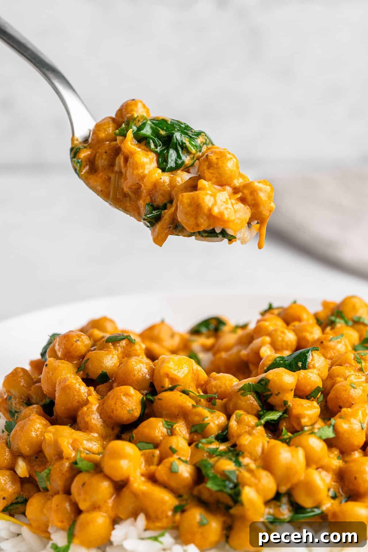 A spoonful of creamy chickpea curry with spinach is held above a plate. The curry is served on a bed of rice, with a rich, golden sauce and garnished with fresh herbs.