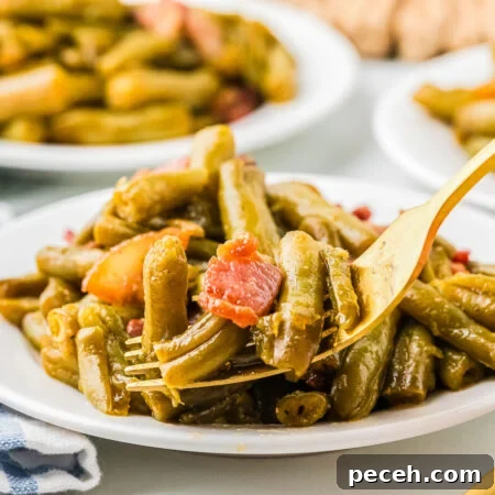 Quick and Flavorful Canned Green Beans Recipe 11 canned green bean recipe