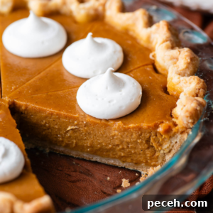 Classic Homemade Pumpkin Pie: Simple Recipe for Perfect Fall Dessert 15 pumpkin pie in a glass pie dish topped with dollops of whipped cream