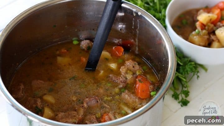 Instant Pot Lamb Stew Recipe: Tender, Flavorful One-Pot Meal 8 A finished Instant Pot of stew.