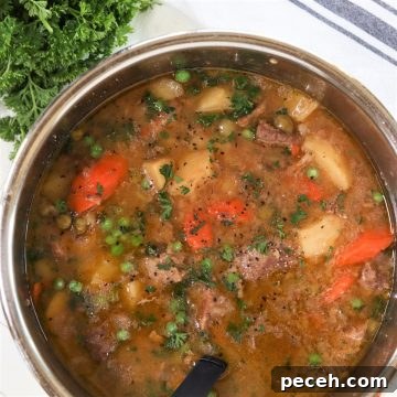 Instant Pot Lamb Stew Recipe: Tender, Flavorful One-Pot Meal 9 lamb stew in an instant pot ready to serve