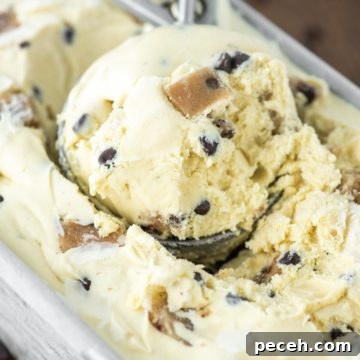 scoop in metal tin of chocolate chip cookie dough ice cream