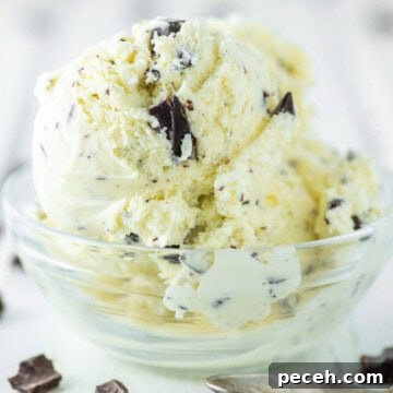 Homemade ice cream with chocolate chips in glass bowl.