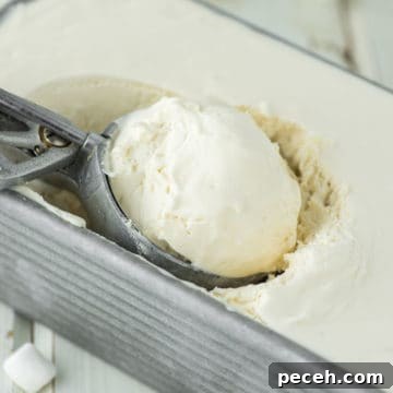 Ice cream scooped dipped into tin of marshmallow ice cream.