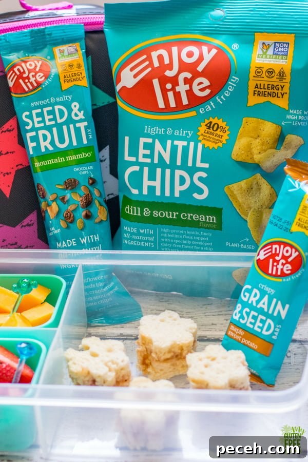 Back-to-School Lunch Ideas Featuring Enjoy Life Foods 2 Enjoy Life Lunches