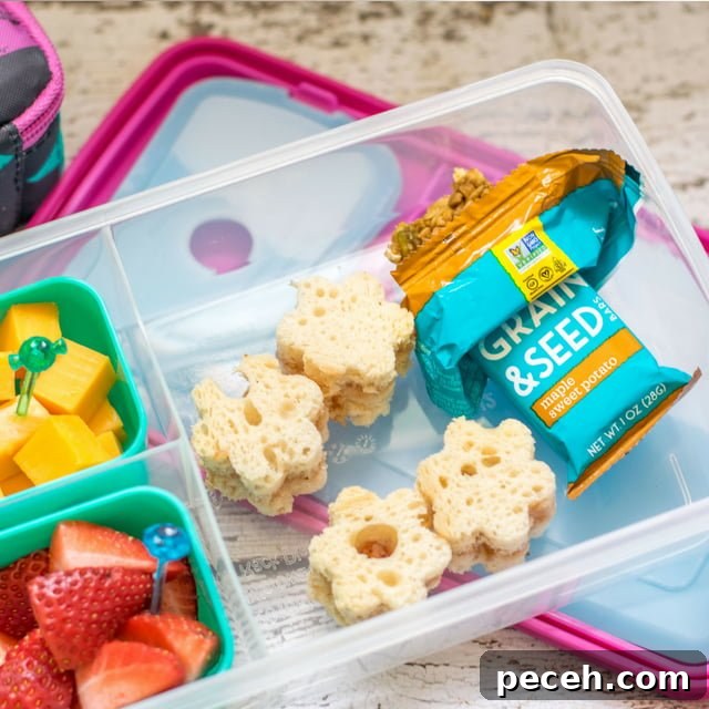 Back-to-School Lunch Ideas Featuring Enjoy Life Foods 3 Enjoy Life Lunch Box