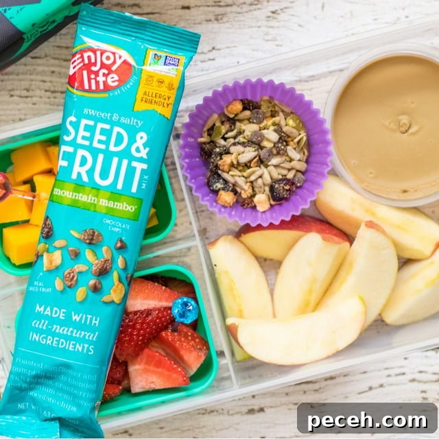 Back-to-School Lunch Ideas Featuring Enjoy Life Foods 5 Enjoy Life Foods Apple Dippers