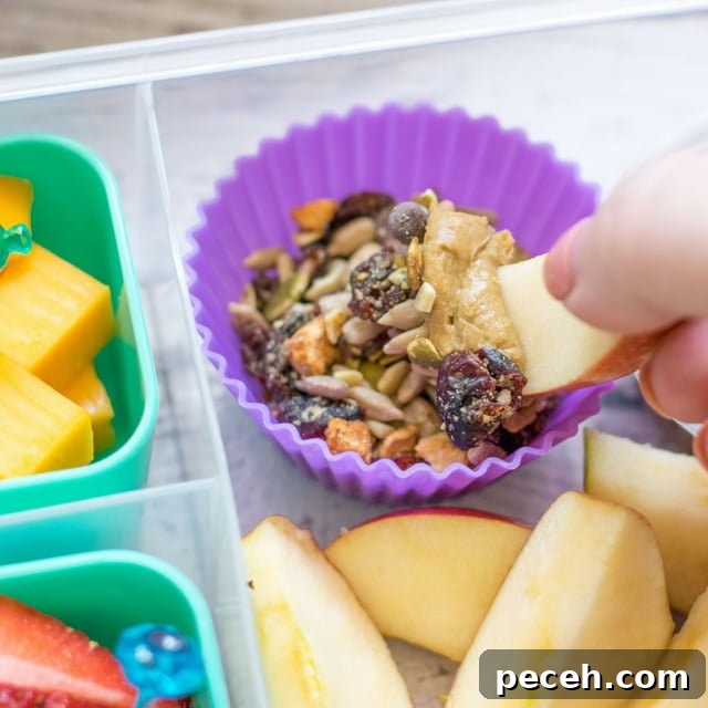 Back-to-School Lunch Ideas Featuring Enjoy Life Foods 6 Enjoy Life Apple Dippers