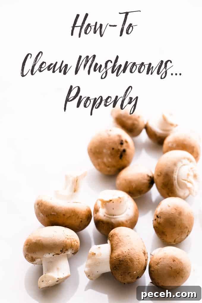 How to Clean Mushrooms Safely and Maintain Their Flavor 2 How to Clean Mushrooms Properly
