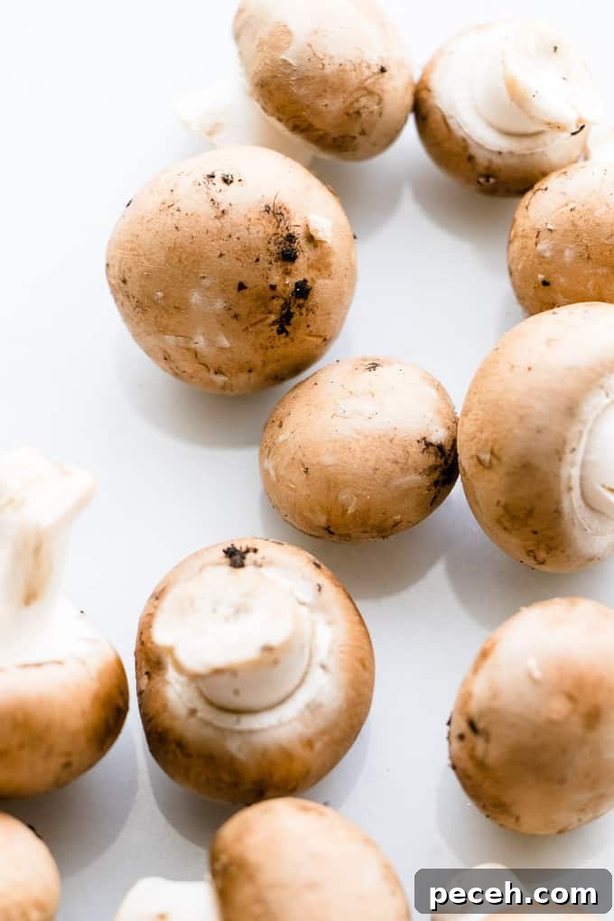 How to Clean Mushrooms Safely and Maintain Their Flavor 3 How-To Clean Mushrooms Properly
