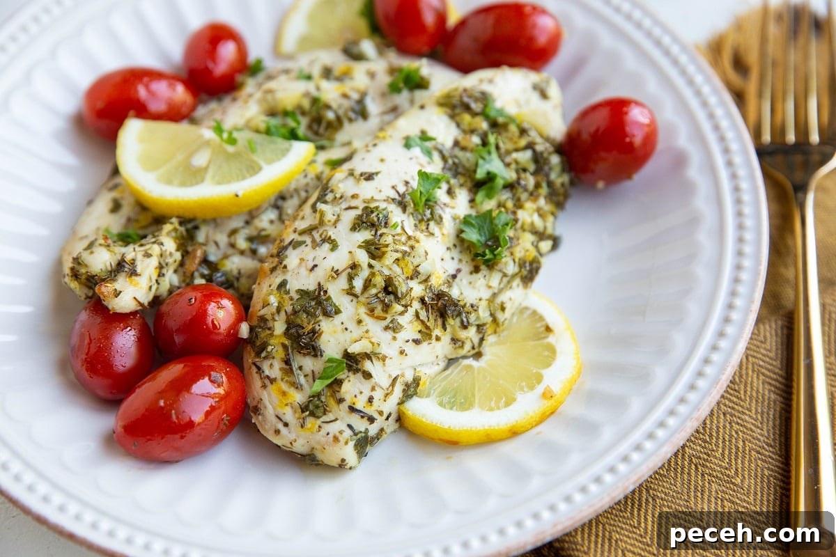 Greek Lemon and Oregano Chicken Breasts 4 horizontal image of Greek chicken breasts