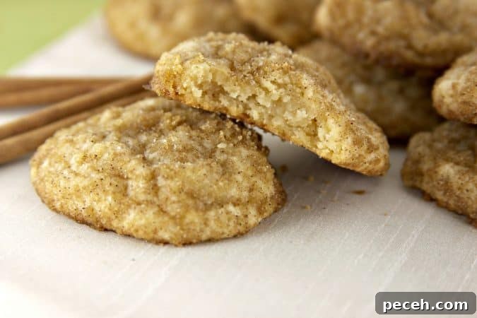 Soft and Chewy Cream Cheese Cookie Recipe for Perfect Bakes 8 cinnamon cream cheese cookies rolled in brown sugar