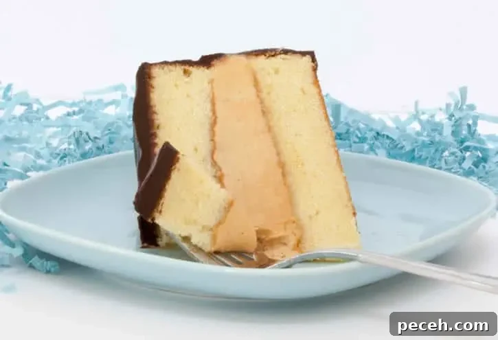 tandy-cake-slice-w-fork-sideways-02