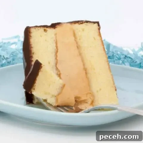 A Tandy Birthday Cake