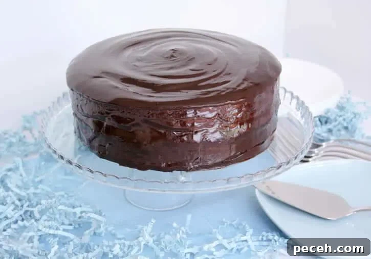 tandy-cake-01