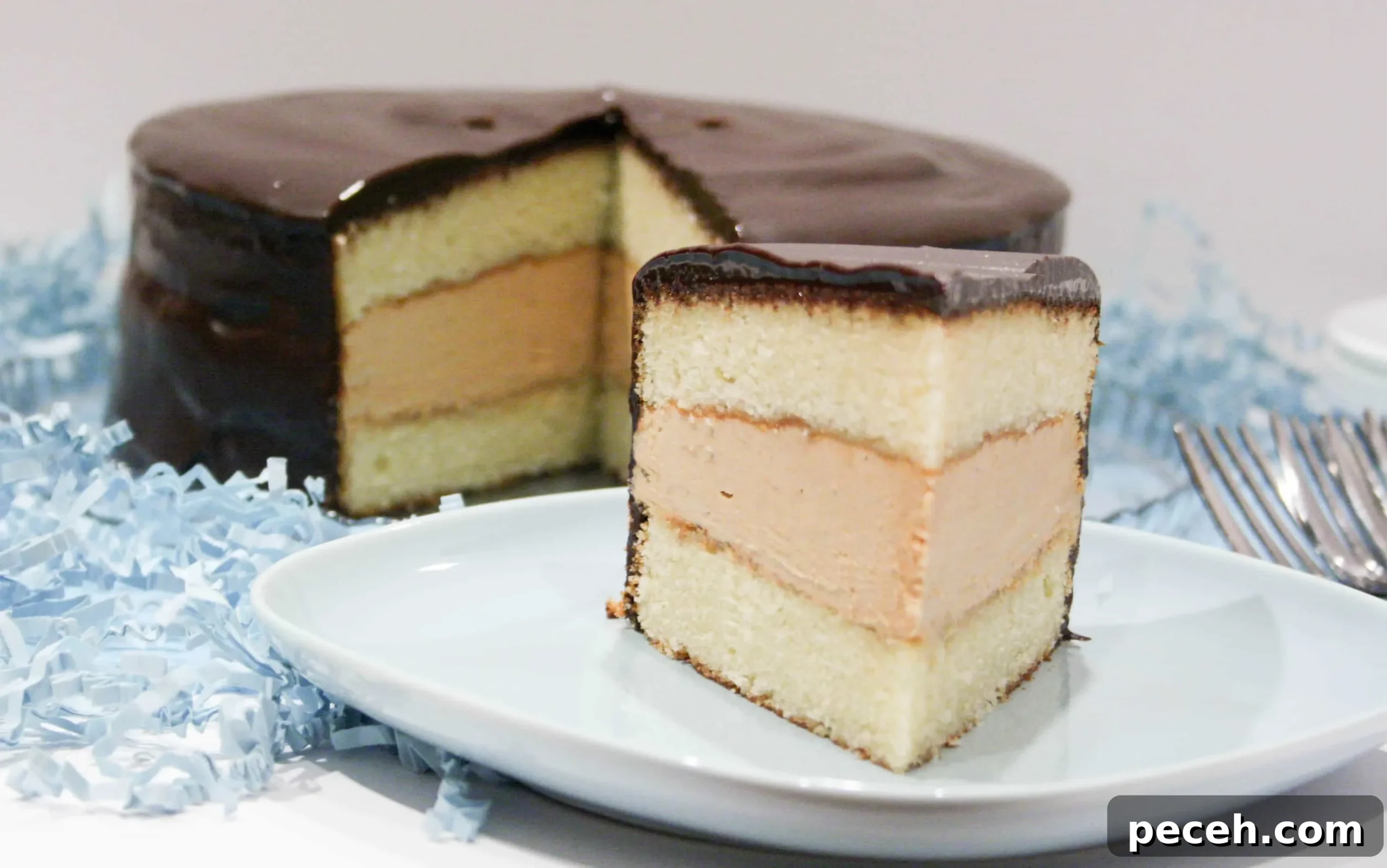 tandy-cake-w-slice-01