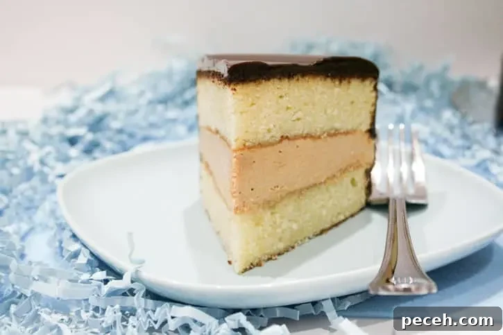 tandy-cake-slice-w-fork-01