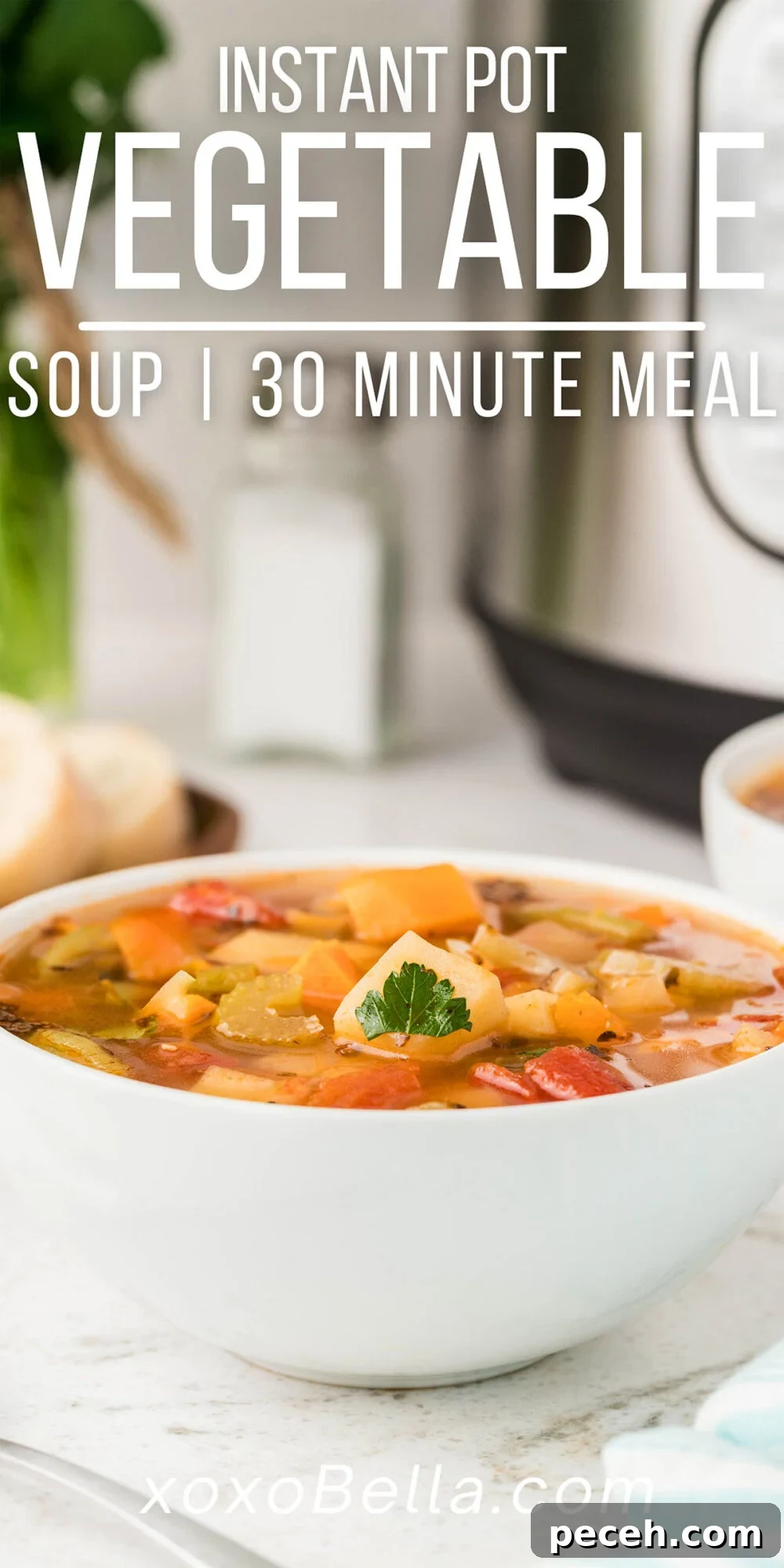 A bowl of colorful Instant Pot Vegetable Soup, made with fresh and frozen vegetables and herbs—a wholesome 30-minute meal easily prepared in your instant pot or pressure cooker.