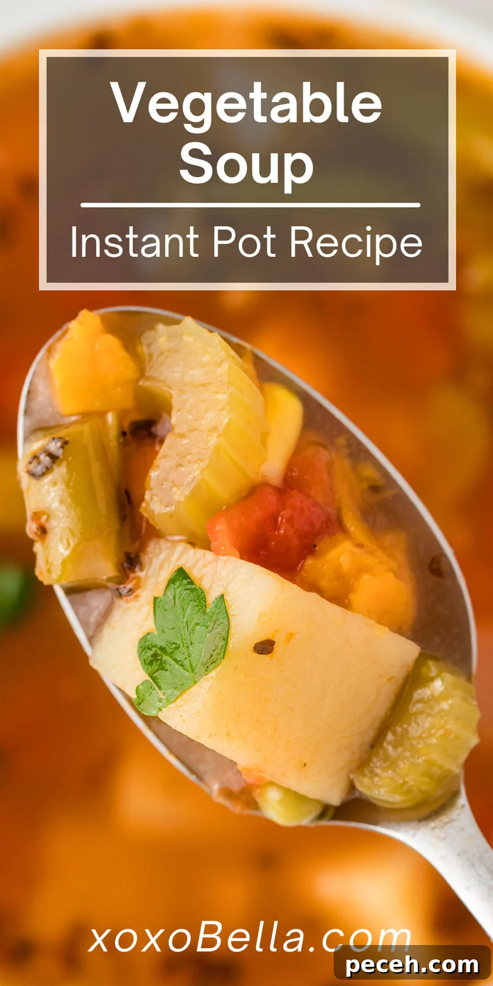 Close-up of a spoonful of vegetable soup over a bowl, perfect for making soup in an instant pot or pressure cooker using fresh and frozen vegetables—ready in just 30 minutes!.
