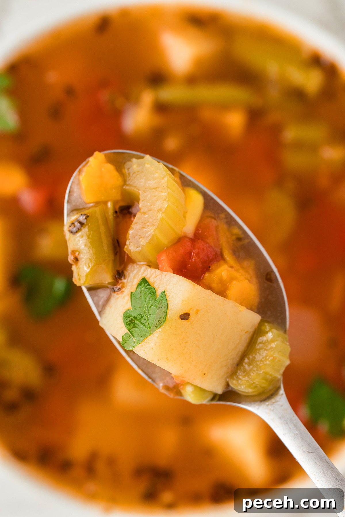 A spoonful of Instant Pot Vegetable Soup with potatoes, celery, carrots, tomatoes, and herbs—a perfect vegetarian or vegan soup recipe and a cozy 30 Minute Meal.