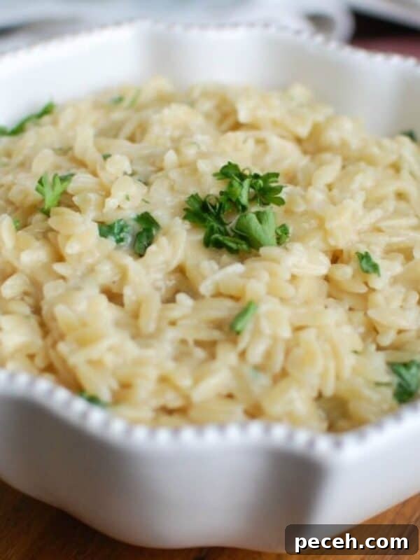 Zesty Arugula and Lemon Orzo Salad with Parmesan 11 img 56550 10