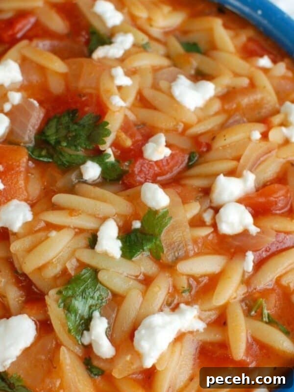 Zesty Arugula and Lemon Orzo Salad with Parmesan 13 One Pot Creamy Tomato Herb Orzo in a blue bowl