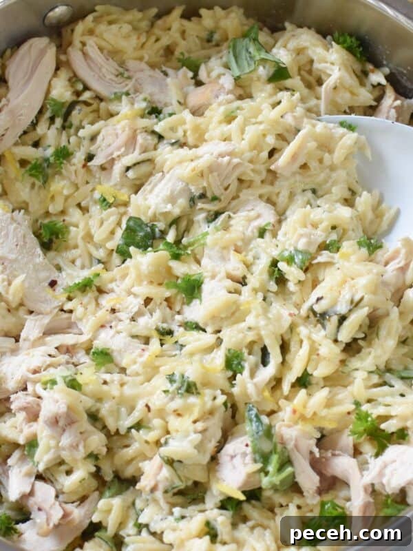 Zesty Arugula and Lemon Orzo Salad with Parmesan 14 Lemon Chicken Orzo 1200 x 1200