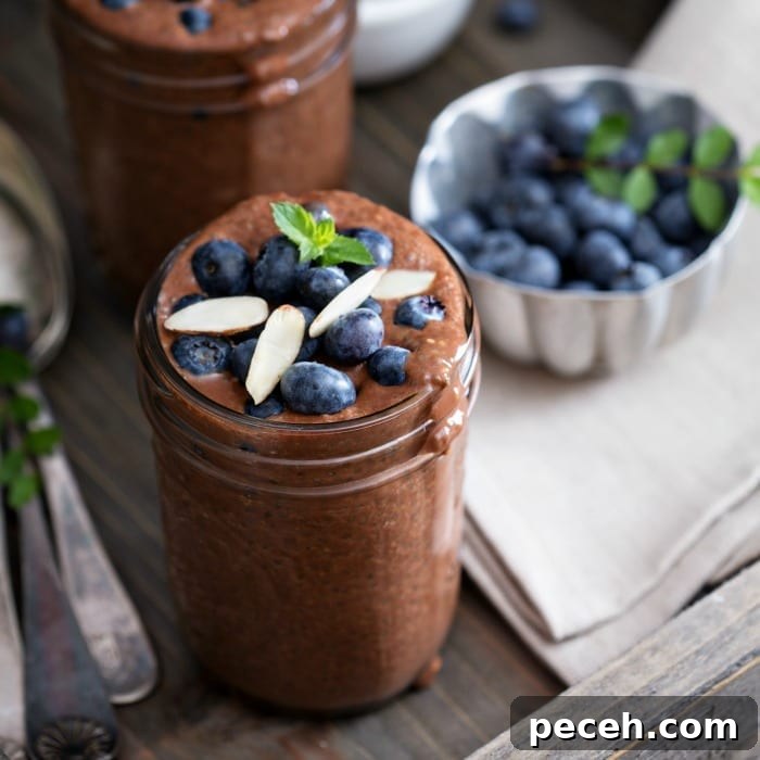 Creamy Vegan Chocolate Chia Pudding Recipe 3 img 58252 2