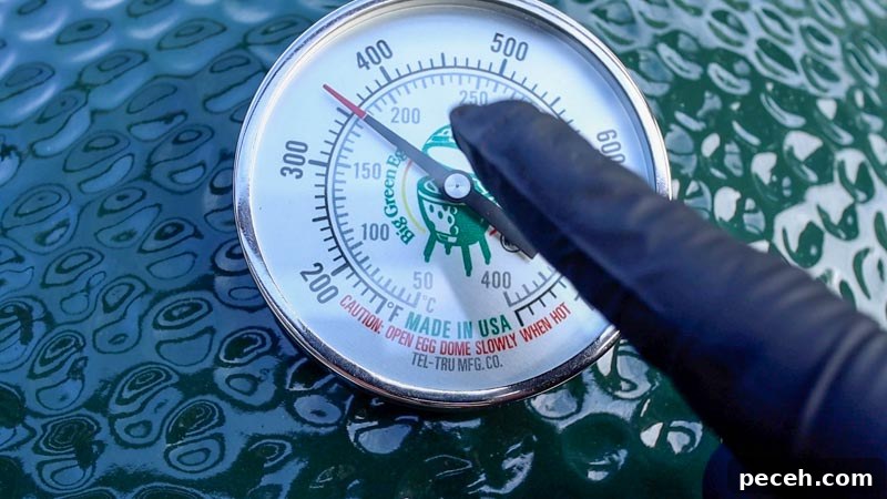 Spicy Korean Chicken Wings Recipe Smoked on a Big Green Egg 8 img 5971 7