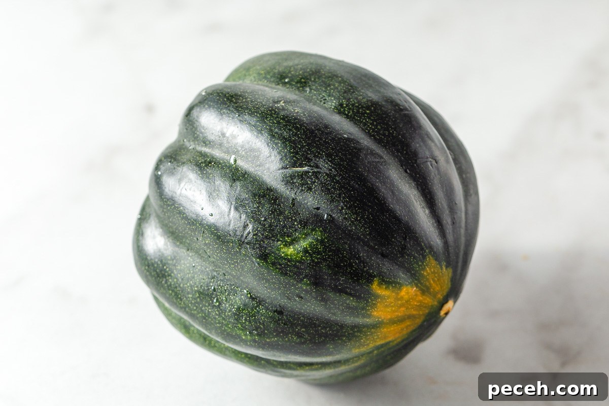 Crispy Air-Fried Acorn Squash Recipe for Fall Side Dish 3 acorn squash on the table.