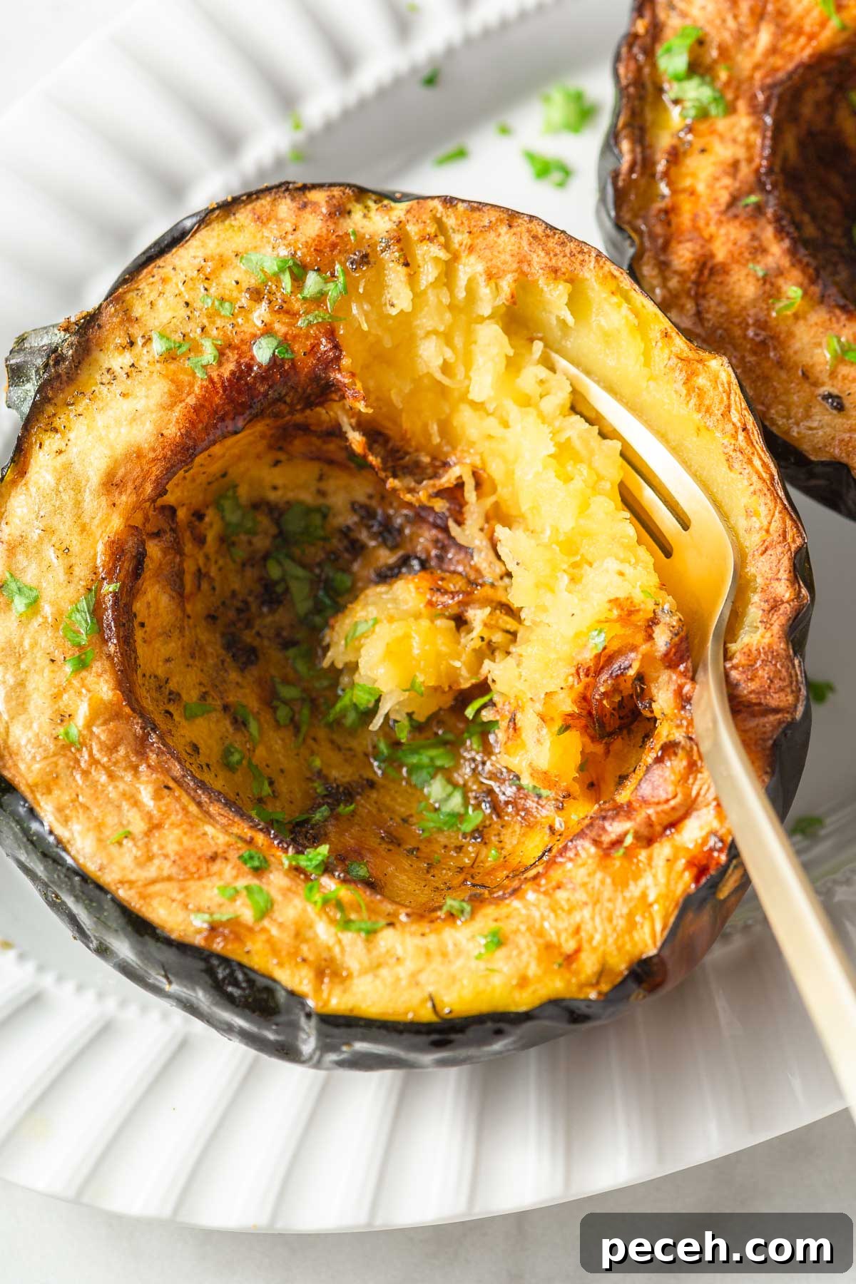 Crispy Air-Fried Acorn Squash Recipe for Fall Side Dish 10 air fryer acorn squash mash on a plate with a fork.