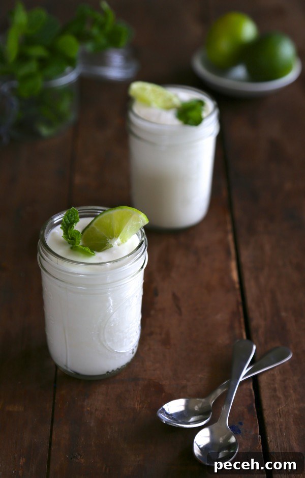 Homemade Mojito Greek Yogurt Recipe + Probiotic Drinks Cookbook Giveaway (Closed) 2 homemade mojito greek yogurt www.climbinggriermountain.com