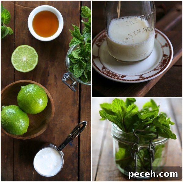 Homemade Mojito Greek Yogurt Recipe + Probiotic Drinks Cookbook Giveaway (Closed) 3 milk collage