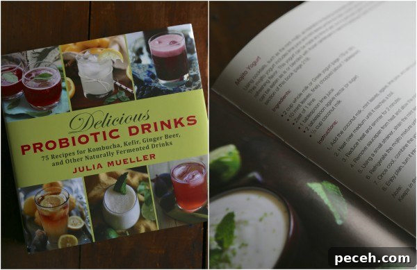 Homemade Mojito Greek Yogurt Recipe + Probiotic Drinks Cookbook Giveaway (Closed) 4 book