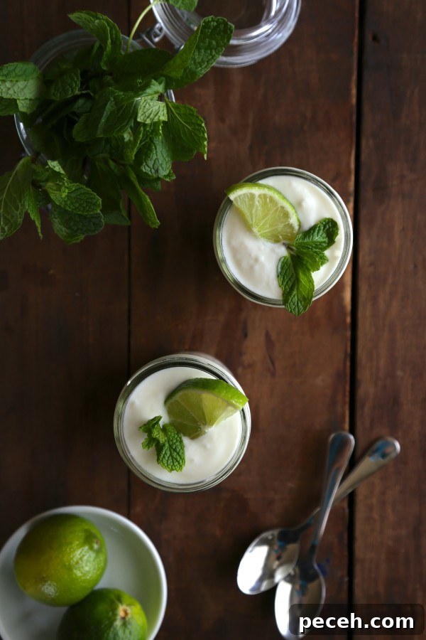 Homemade Mojito Greek Yogurt Recipe + Probiotic Drinks Cookbook Giveaway (Closed) 5 homemade mojito greek yogurt www.climbiinggriermountain.com