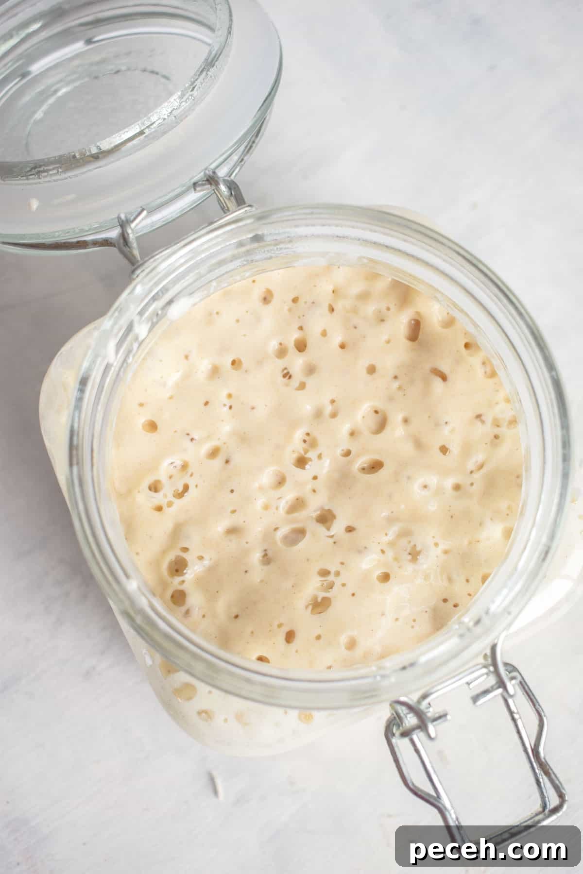 How to Make and Maintain a Sourdough Starter at Home 2 jar of starter open with bubbles on top of starter.