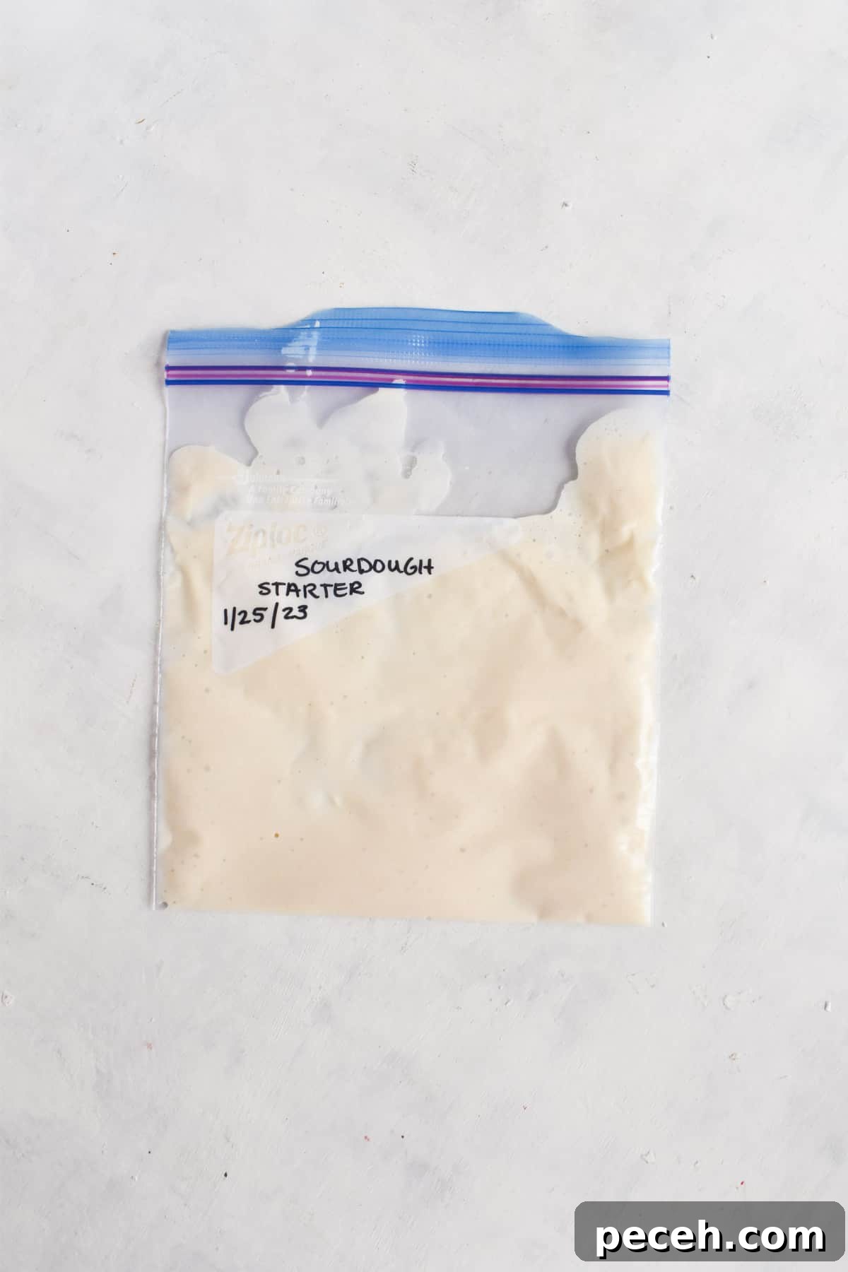 How to Make and Maintain a Sourdough Starter at Home 9 sourdough starter flat in freezer bag.