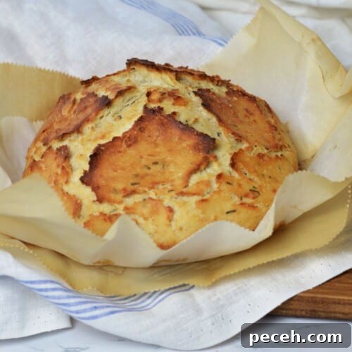 crisp loaf of herb and cheese bread laying on layers of parchment paper and linen cloths.