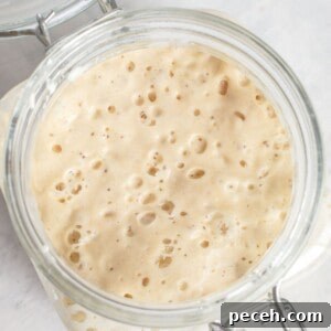 How to Make and Maintain a Sourdough Starter at Home 16 bubbly sourdough starter in jar.