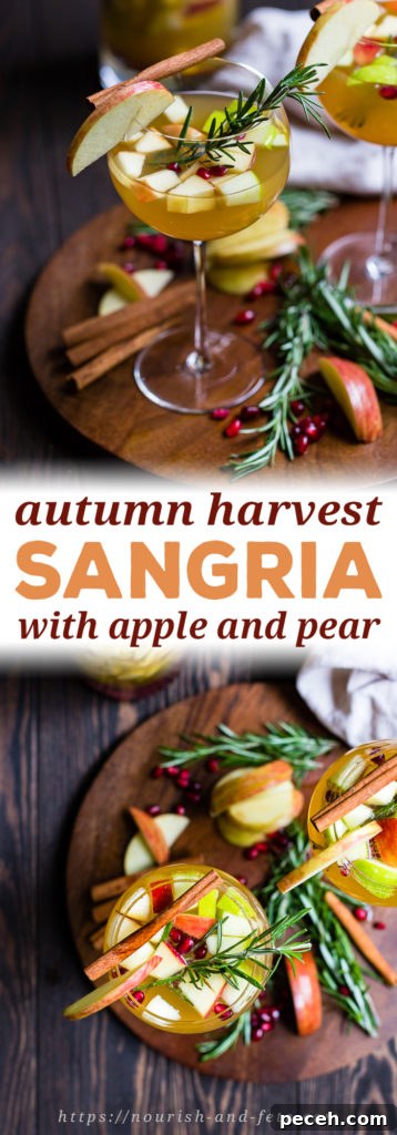Autumn Harvest White Sangria Recipe for Cozy Fall Gatherings 7 The perfect fall cocktail that's as elegant as it is easy! Autumn harvest white sangria with apples, pears, white wine, and cider - make a large pitcher for easy serving and easy fall entertaining! #sangria #fallcocktail #applecider