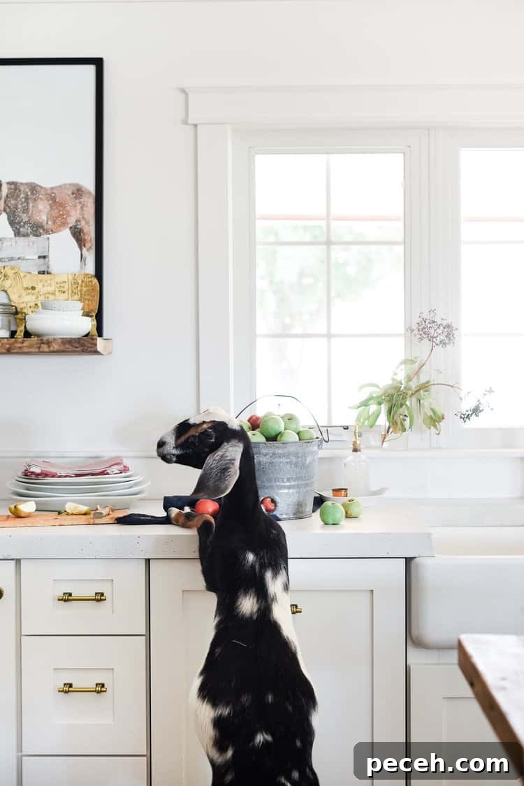 Cozy Fall Kitchen Decorating Ideas 3 Fall kitchen decor image