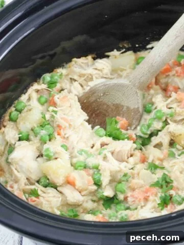 Wooden spoon scooping out dairy-free chicken pot pie from a slow cooker.