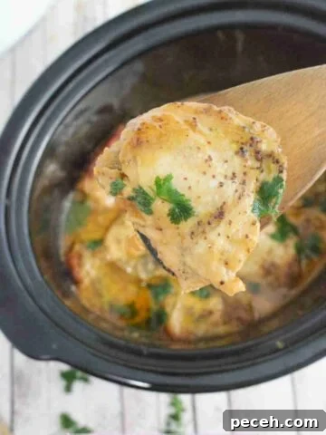 Close up of a wooden spoon holding a chicken thigh covered in honey mustard sauce with parsley over a black slow cooker.