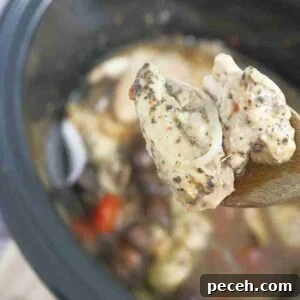 Close up shot of hunters chicken thigh on a wooden spoon over a slow cooker.
